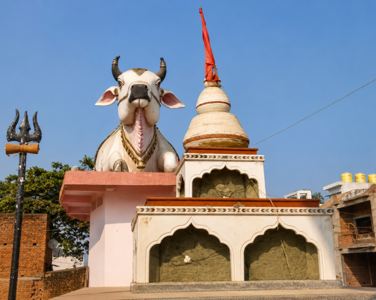 Maa Patal Bhairvi